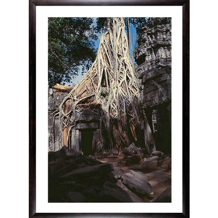 Ta Prohm (00275)