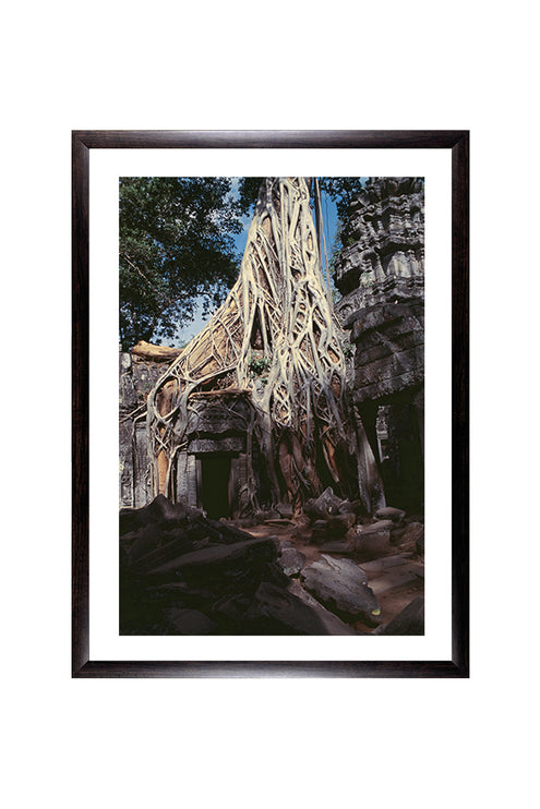 Ta Prohm (00275)