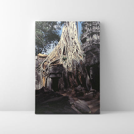 Ta Prohm (00275)