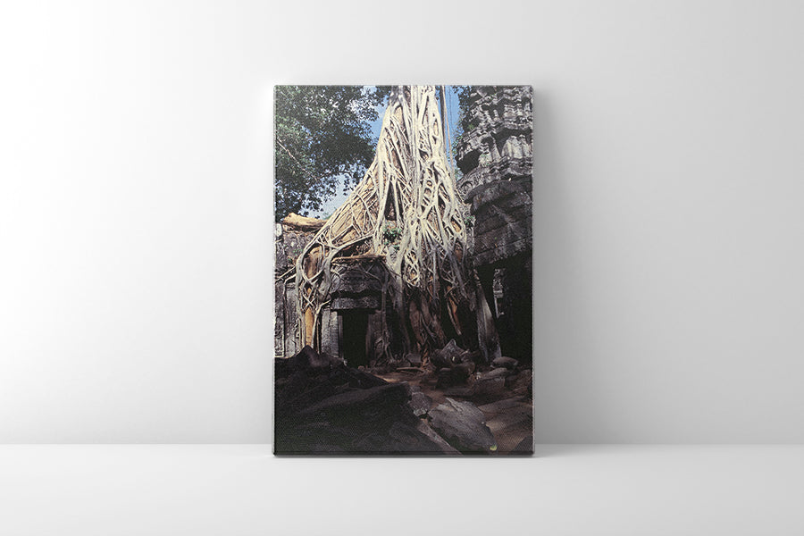 Ta Prohm (00275)