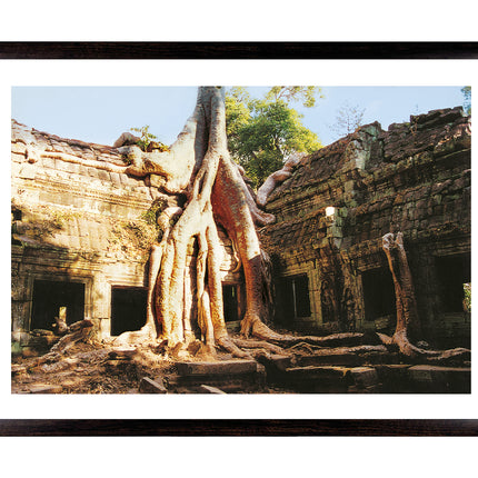 Ta Prohm (00276)