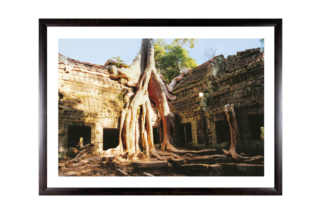Ta Prohm (00276)