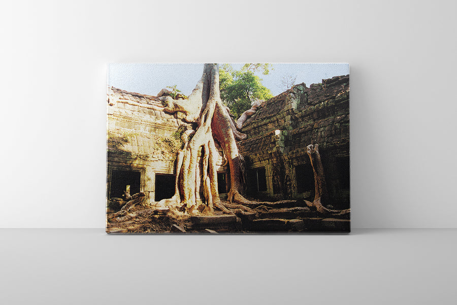 Ta Prohm (00276)