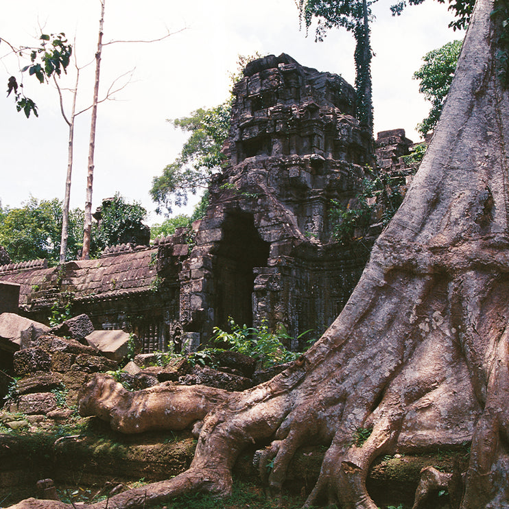 Ta Prohm (00277)
