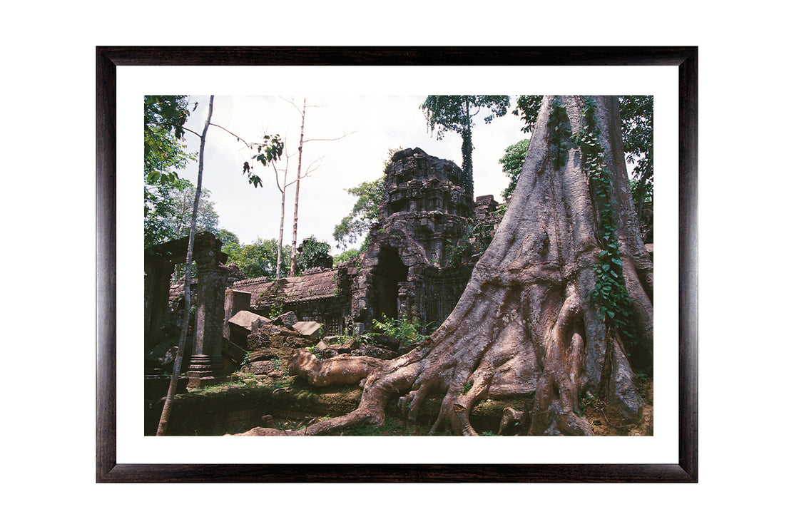 Ta Prohm (00277)