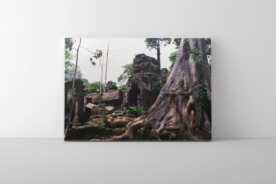 Ta Prohm (00277)