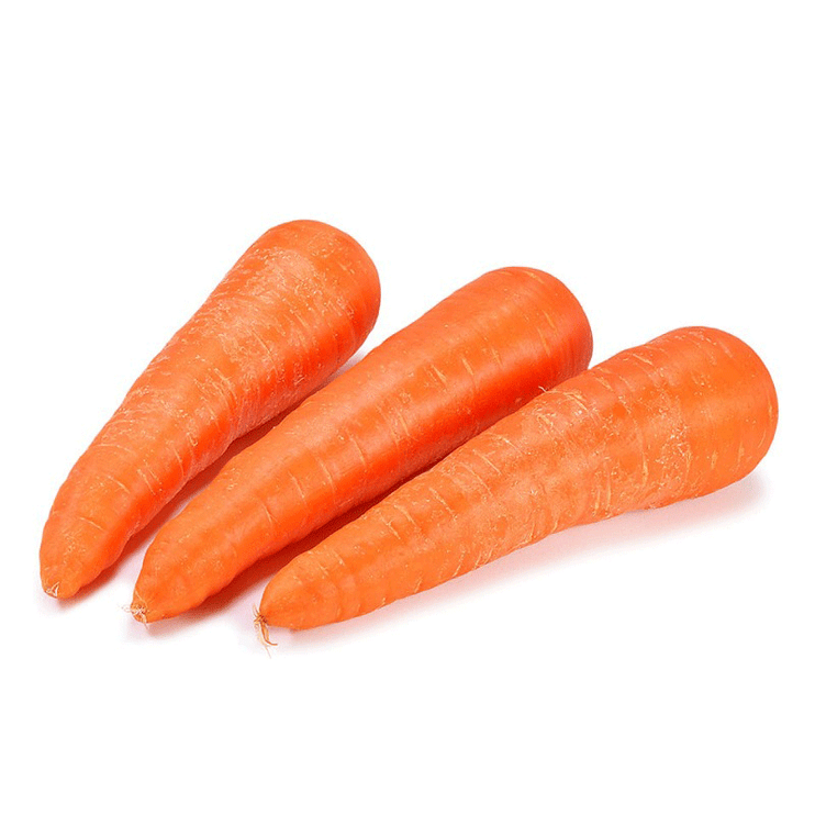 Carrot