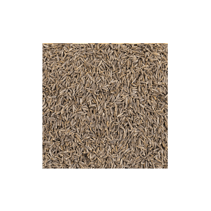 Jeera (Cumin Seeds)