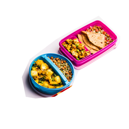 Packed Vegetarian Lunch