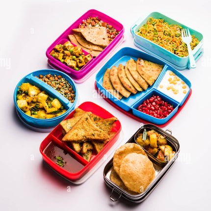Packed Vegetarian Lunch